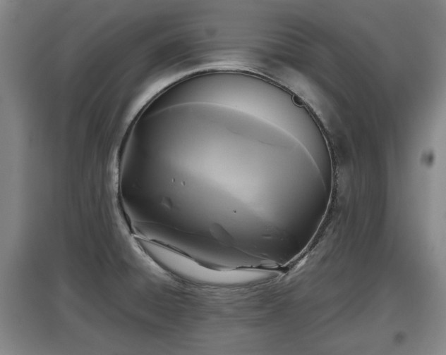 X0000097481428200802291348