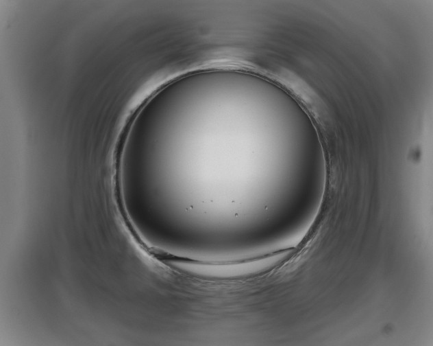 X0000097481430200802291348