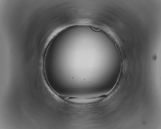 X0000097481432200802291348