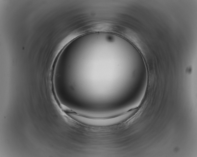 X0000097481434200802291348
