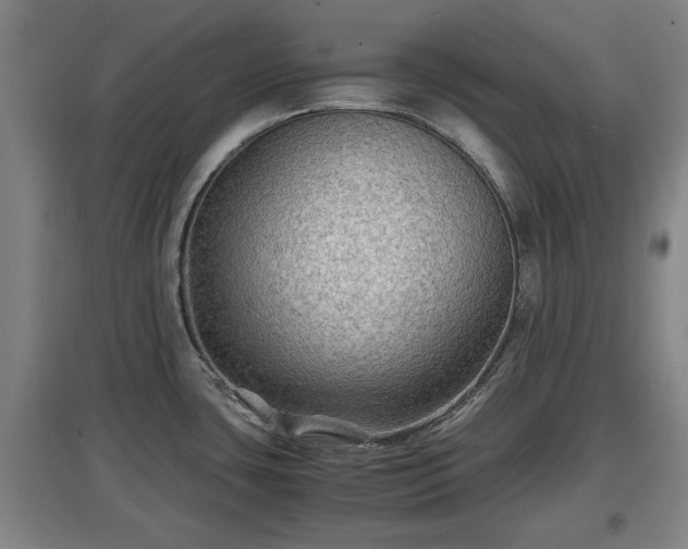 X0000097481435200802291348