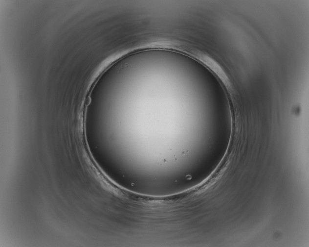 X0000097481436200802291348