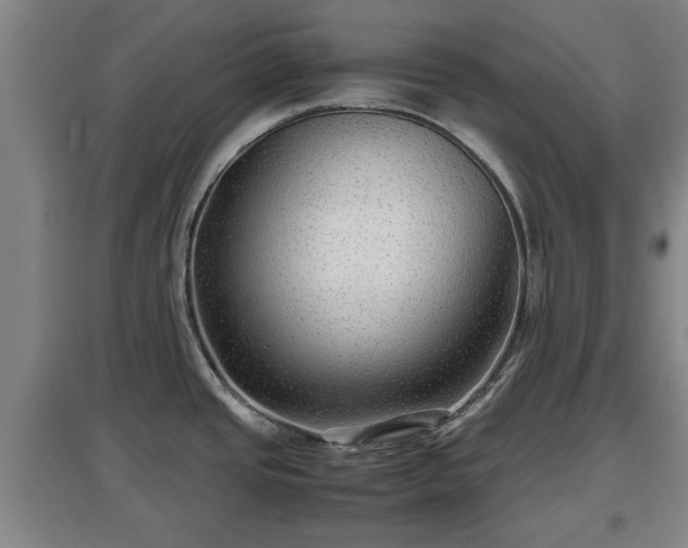 X0000097481437200802291348
