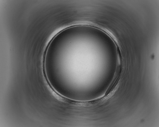 X0000097481438200802291348