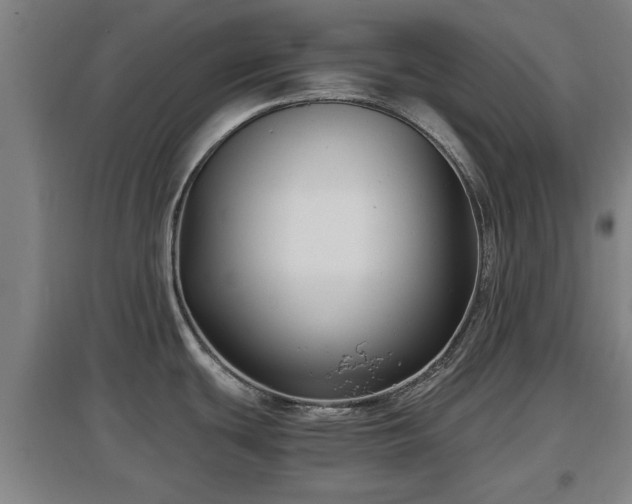 X0000097481439200802291348