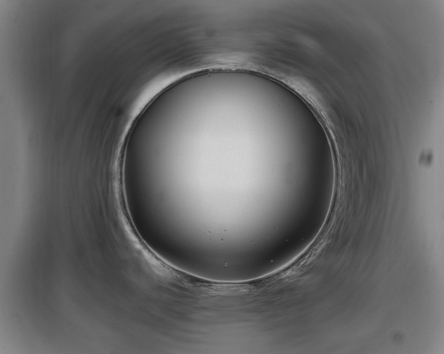 X0000097481440200802291348