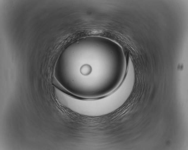 X0000097481441200802291347