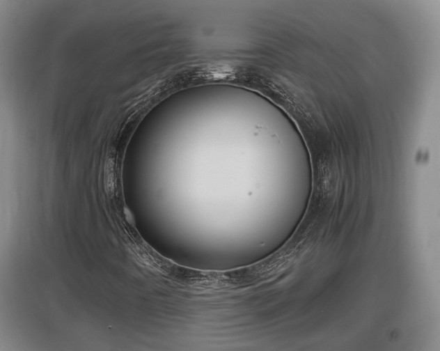 X0000097481442200802291347