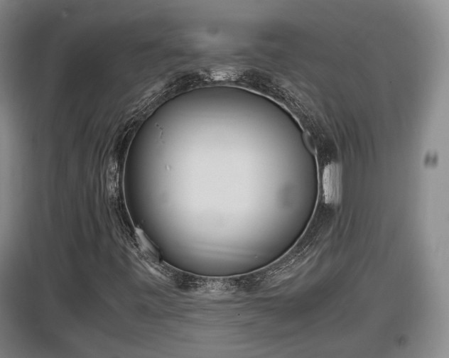 X0000097481443200802291347