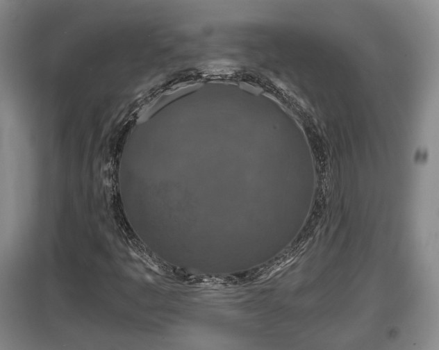 X0000097481445200802291347