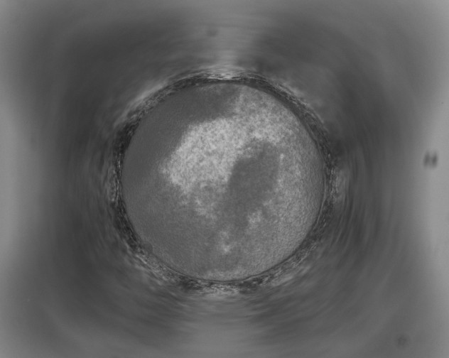 X0000097481446200802291347