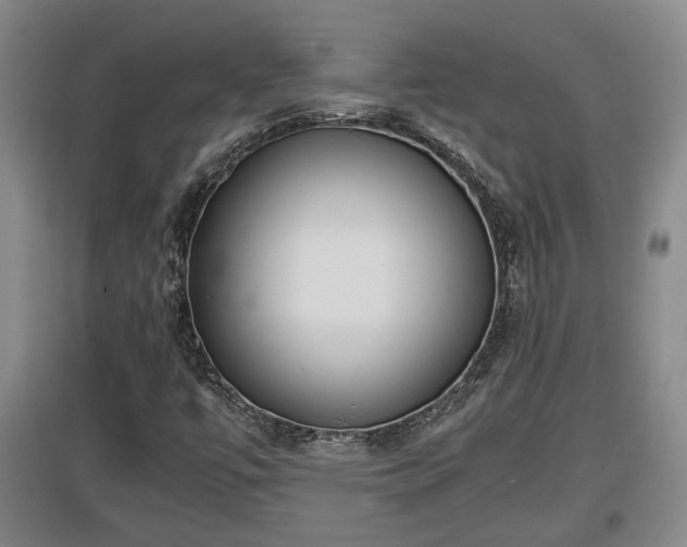 X0000097481447200802291347