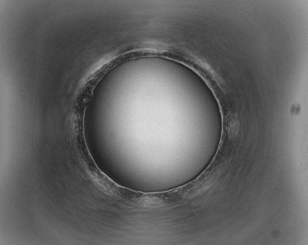 X0000097481448200802291347