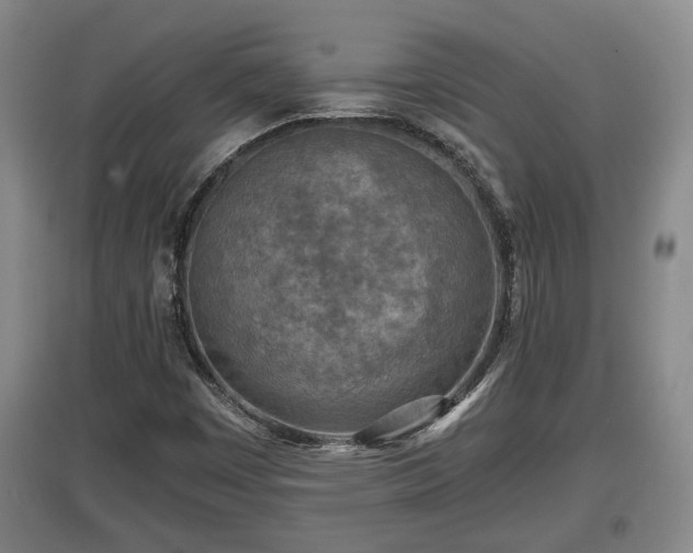 X0000097481449200802291347
