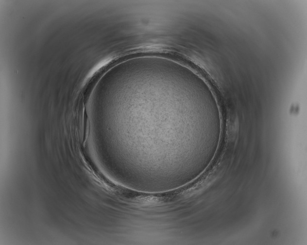 X0000097481450200802291347
