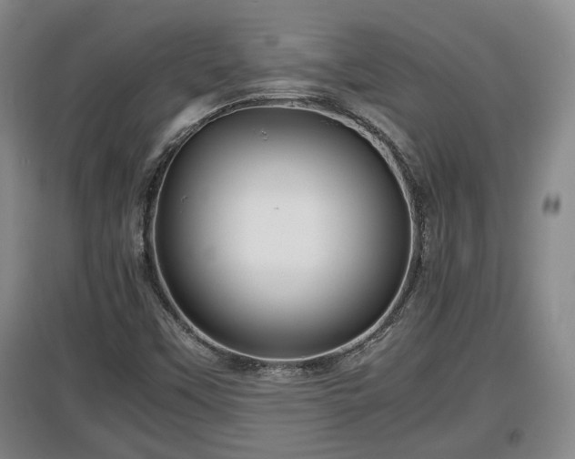X0000097481451200802291347