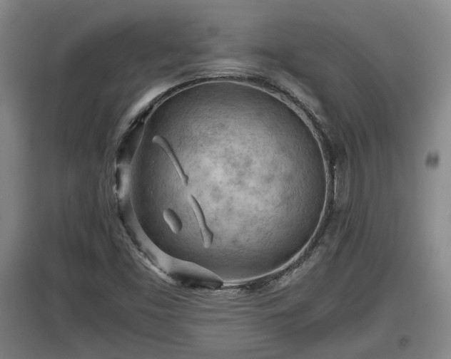 X0000097481453200802291347