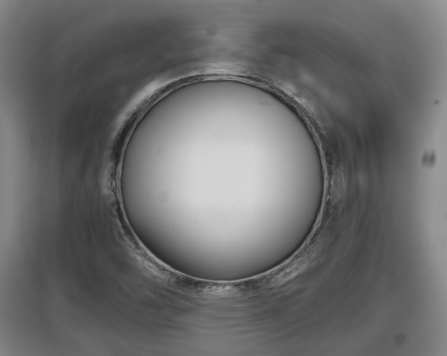 X0000097481454200802291347