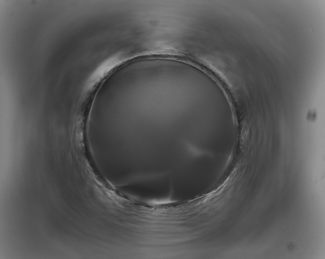 X0000097481455200802291347