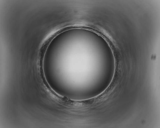 X0000097481456200802291347