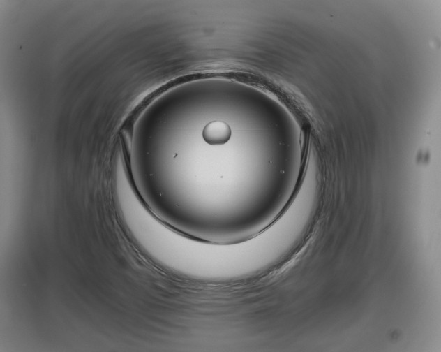 X0000097481457200802291347