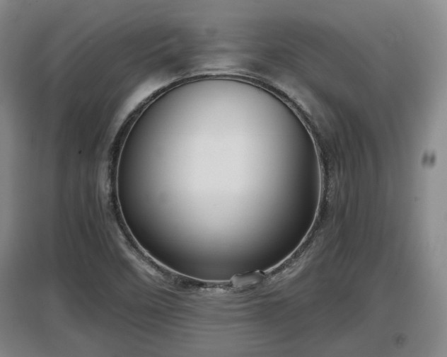 X0000097481458200802291347
