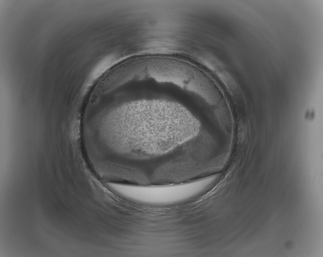 X0000097481459200802291347