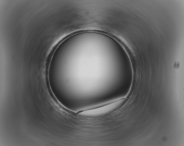 X0000097481460200802291347