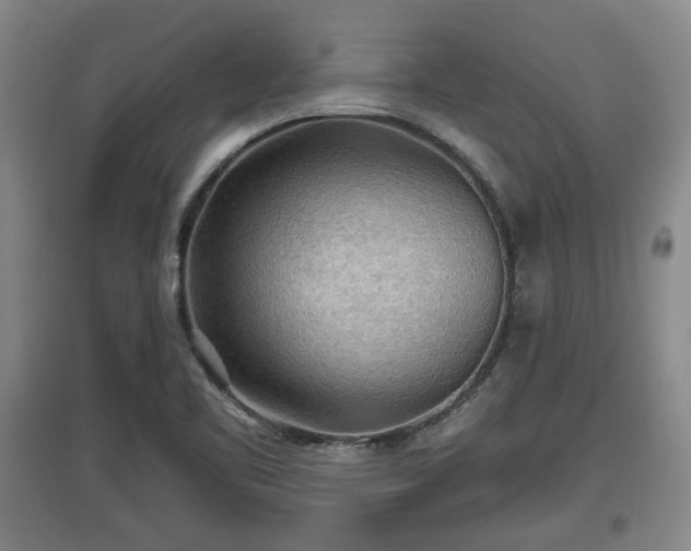 X0000097481461200802291347