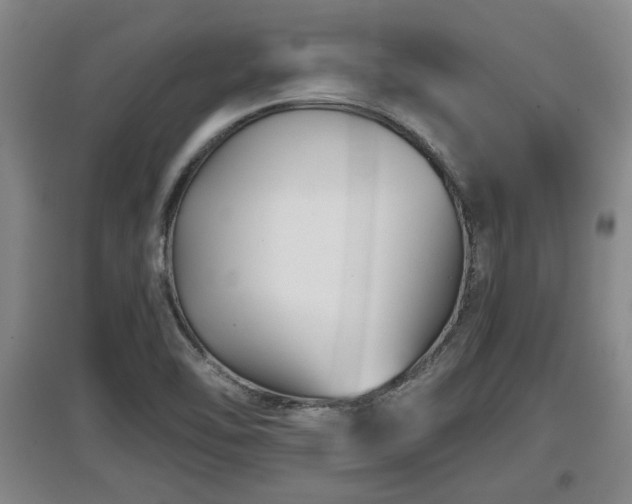 X0000097481462200802291347
