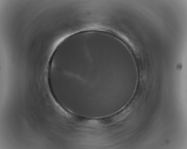X0000097481463200802291347