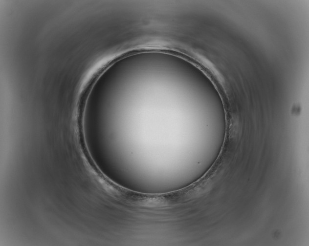 X0000097481464200802291347