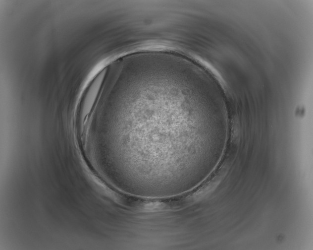 X0000097481467200802291347