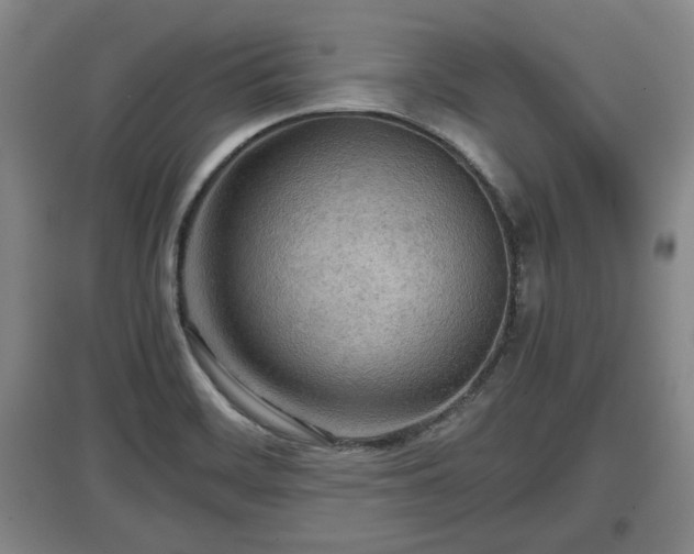 X0000097481468200802291347