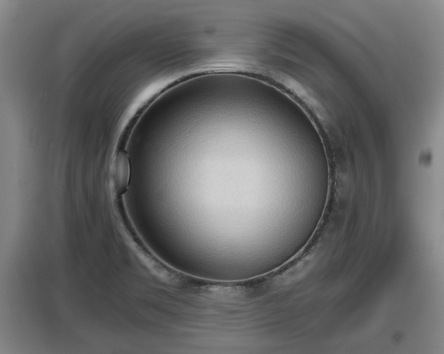 X0000097481469200802291347