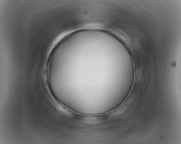 X0000097481470200802291347
