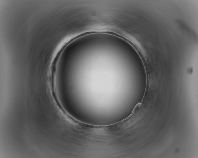 X0000097481472200802291347