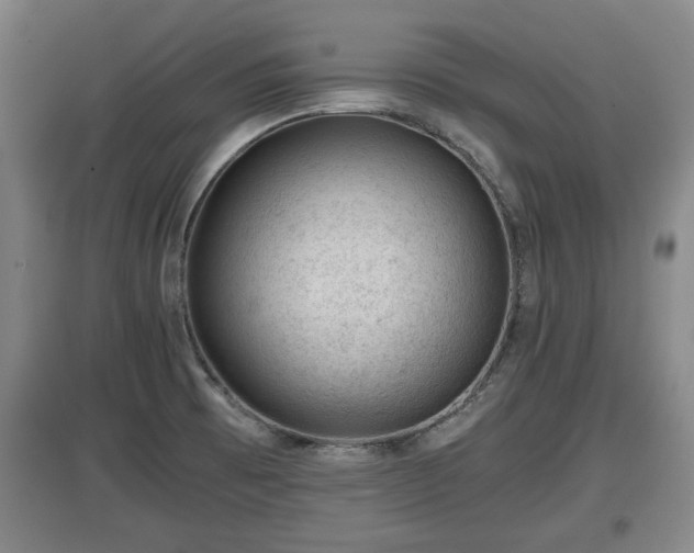 X0000097481473200802291347
