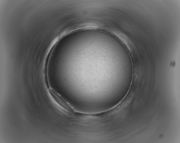 X0000097481475200802291347