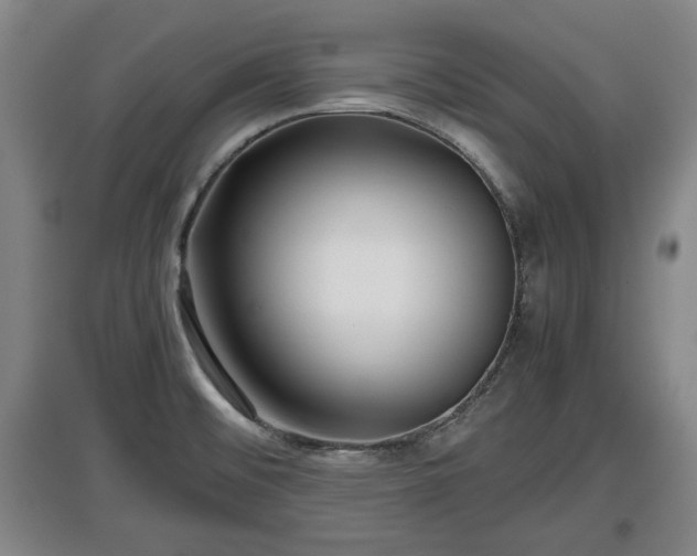 X0000097481476200802291347