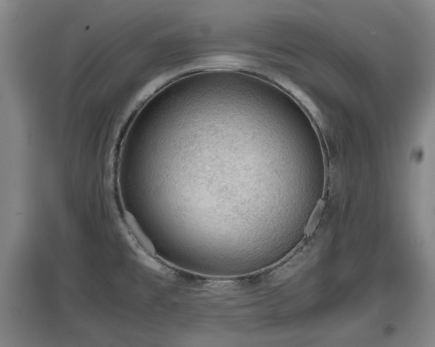 X0000097481477200802291347