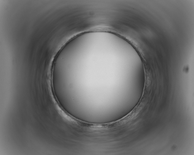 X0000097481478200802291347