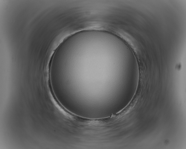 X0000097481479200802291347