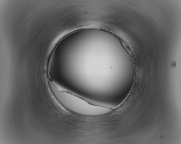 X0000097481480200802291347