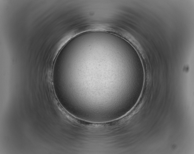 X0000097481481200802291347