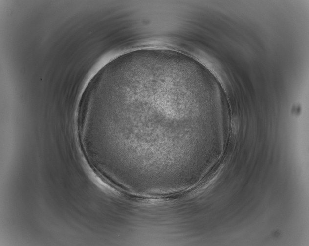 X0000097481482200802291347