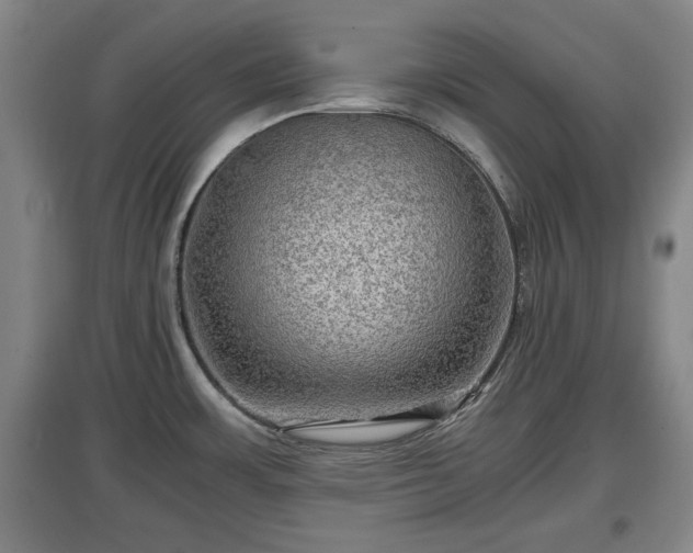 X0000097481483200802291347