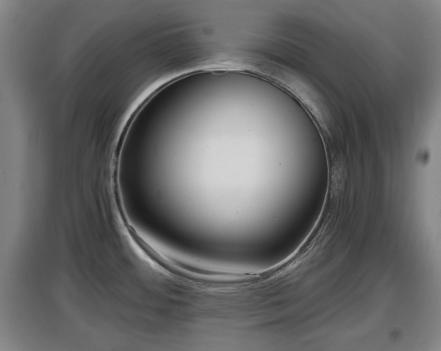 X0000097481484200802291347