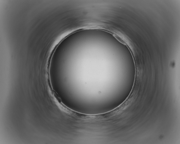 X0000097481485200802291347