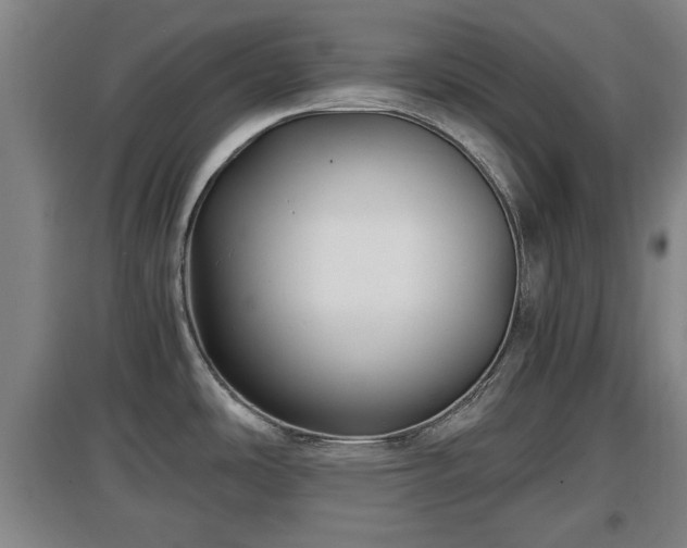 X0000097481486200802291346